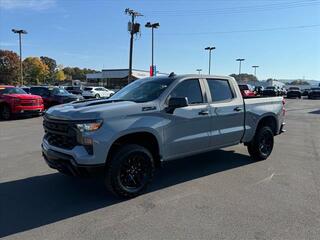 2024 Chevrolet Silverado 1500 for sale in Kingsport TN