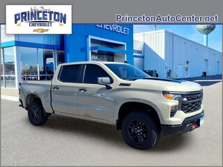 2023 Chevrolet Silverado 1500 for sale in Spartanburg SC