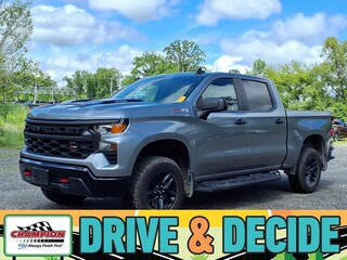 2024 Chevrolet Silverado 1500 for sale in Howell MI
