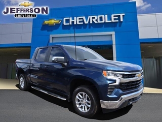 2022 Chevrolet Silverado 1500 for sale in Detroit MI