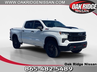 2024 Chevrolet Silverado 1500 for sale in Oak Ridge TN
