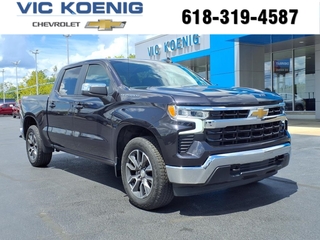 2022 Chevrolet Silverado 1500 for sale in Carbondale IL