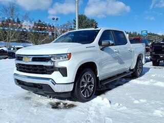 2023 Chevrolet Silverado 1500 for sale in Dowagiac MI