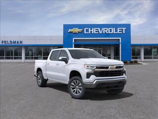 2024 Chevrolet Silverado 1500 for sale in Novi MI