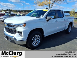 2023 Chevrolet Silverado 1500 for sale in Perry NY