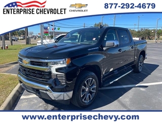 2022 Chevrolet Silverado 1500 for sale in Enterprise AL