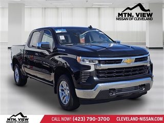 2023 Chevrolet Silverado 1500 for sale in Mcdonald TN