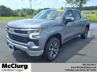 2023 Chevrolet Silverado 1500 for sale in Perry NY
