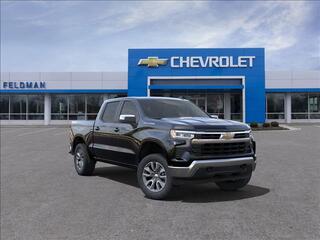 2024 Chevrolet Silverado 1500 for sale in Novi MI