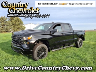 2025 Chevrolet Silverado 1500 for sale in Herscher IL