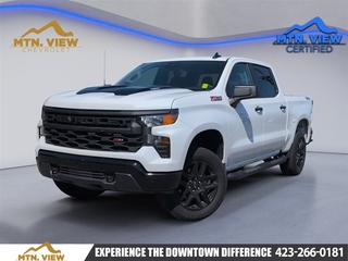 2025 Chevrolet Silverado 1500 for sale in Chattanooga TN