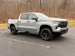 2025 Chevrolet Silverado 1500 for sale in Princeton WV