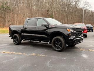 2025 Chevrolet Silverado 1500 for sale in Princeton WV