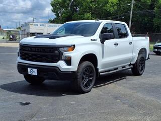 2025 Chevrolet Silverado 1500 for sale in Herrin IL