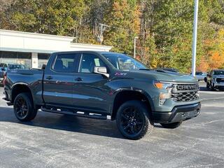 2025 Chevrolet Silverado 1500 for sale in Princeton WV