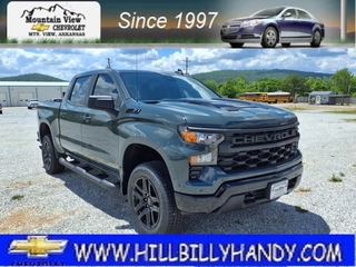 2025 Chevrolet Silverado 1500 for sale in Mountain View AR