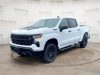 2025 Chevrolet Silverado 1500 for sale in New Bern NC