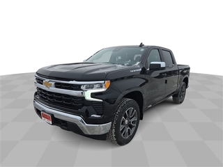 2025 Chevrolet Silverado 1500 for sale in Grand Rapids MN