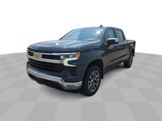 2025 Chevrolet Silverado 1500 for sale in Grand Rapids MN