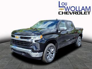 2025 Chevrolet Silverado 1500 for sale in Newton Falls OH