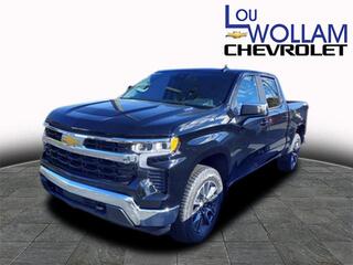 2025 Chevrolet Silverado 1500 for sale in Cortland OH