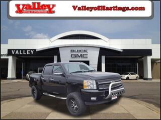 2013 Chevrolet Silverado 1500 for sale in Hastings MN