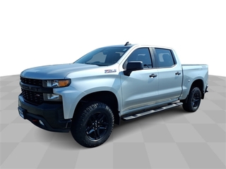 2019 Chevrolet Silverado 1500 for sale in Bradley IL