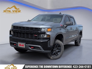 2019 Chevrolet Silverado 1500 for sale in Chattanooga TN