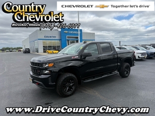 2022 Chevrolet Silverado 1500 Limited for sale in Herscher IL