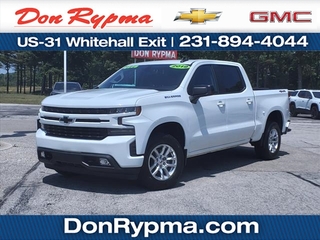 2019 Chevrolet Silverado 1500 for sale in Whitehall MI