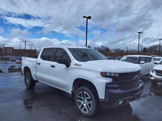 2019 Chevrolet Silverado 1500 for sale in Wood River IL