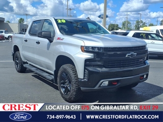 2020 Chevrolet Silverado 1500 for sale in Flat Rock MI