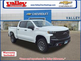 2019 Chevrolet Silverado 1500 for sale in Hastings MN