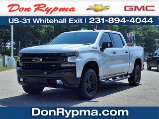2021 Chevrolet Silverado 1500 for sale in Whitehall MI