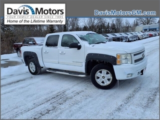 2010 Chevrolet Silverado 1500 for sale in Litchfield MN