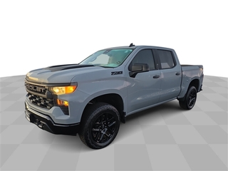 2024 Chevrolet Silverado 1500 for sale in Bradley IL