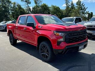 2024 Chevrolet Silverado 1500 for sale in Evansville WI