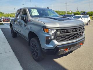 2024 Chevrolet Silverado 1500 for sale in Sanford NC