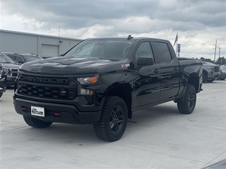 2024 Chevrolet Silverado 1500 for sale in Centralia MO