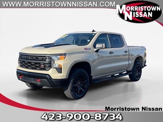 2023 Chevrolet Silverado 1500 for sale in Morristown TN