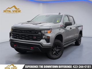 2024 Chevrolet Silverado 1500 for sale in Chattanooga TN