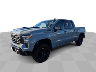 2024 Chevrolet Silverado 1500 for sale in Bradley IL
