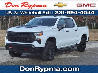 2024 Chevrolet Silverado 1500 for sale in Whitehall MI