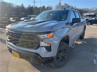 2024 Chevrolet Silverado 1500 for sale in Roanoke VA