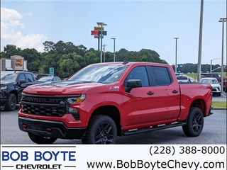 2024 Chevrolet Silverado 1500 for sale in Biloxi MS