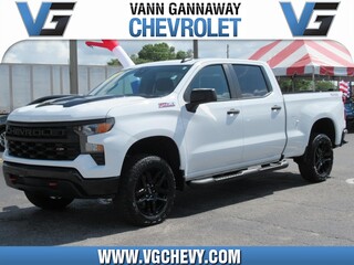 2024 Chevrolet Silverado 1500 for sale in Eustis FL