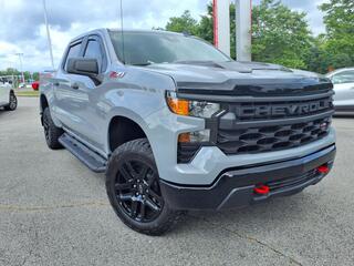 2024 Chevrolet Silverado 1500 for sale in Clarksville TN