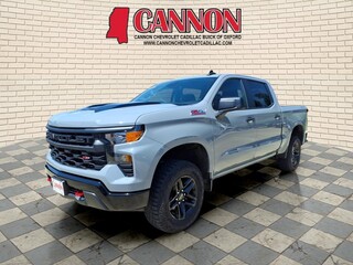 2024 Chevrolet Silverado 1500 for sale in Oxford MS