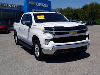 2022 Chevrolet Silverado 1500 for sale in Ringgold GA