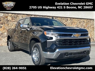 2024 Chevrolet Silverado 1500 for sale in Boone NC